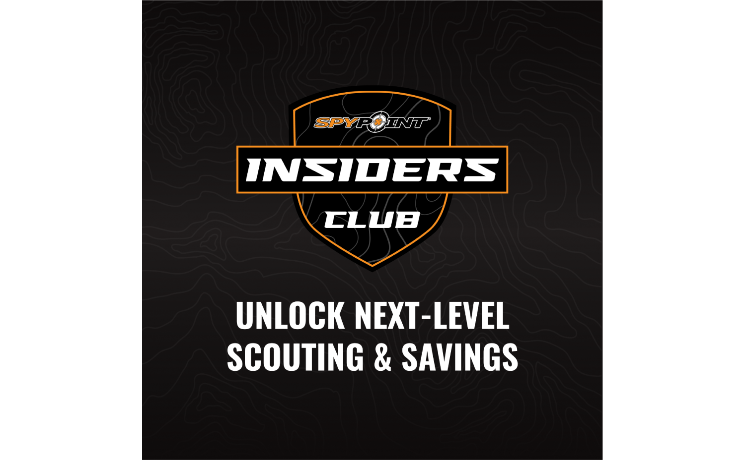 Insiders Club - Annual